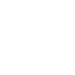 icon_data icon_data